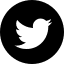 twitter icon